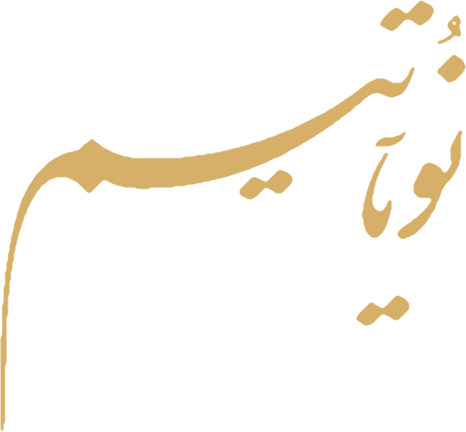نویاتیم